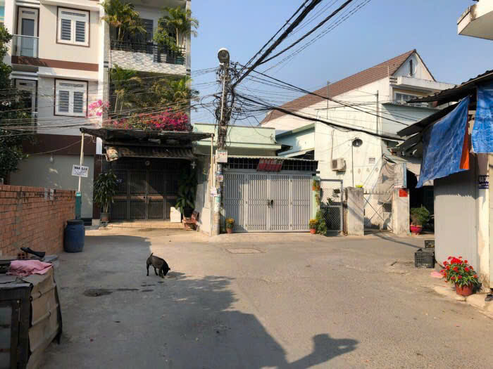 Đất hẻm 5m xe hơi, Trần Thị Cờ, Thới An, 68m2 thổ cư, giá đẹp! - Ảnh 2