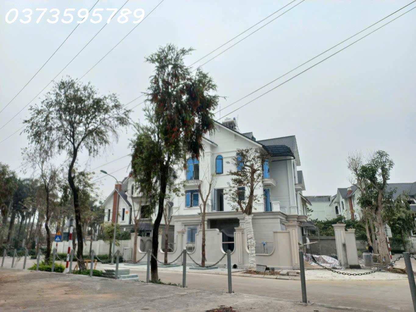 Siêu phẩm nhà Liền kề Geleximco view vườn hoa, biệt thự, 60m, 4 tầng, chỉ 14 tỷ - Ảnh 2