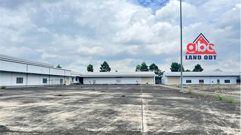 X108 nhà xưởng bán chủ trương SX thực phẩm. khuôn thảm nền bê tông toàn bộ - Ảnh 4