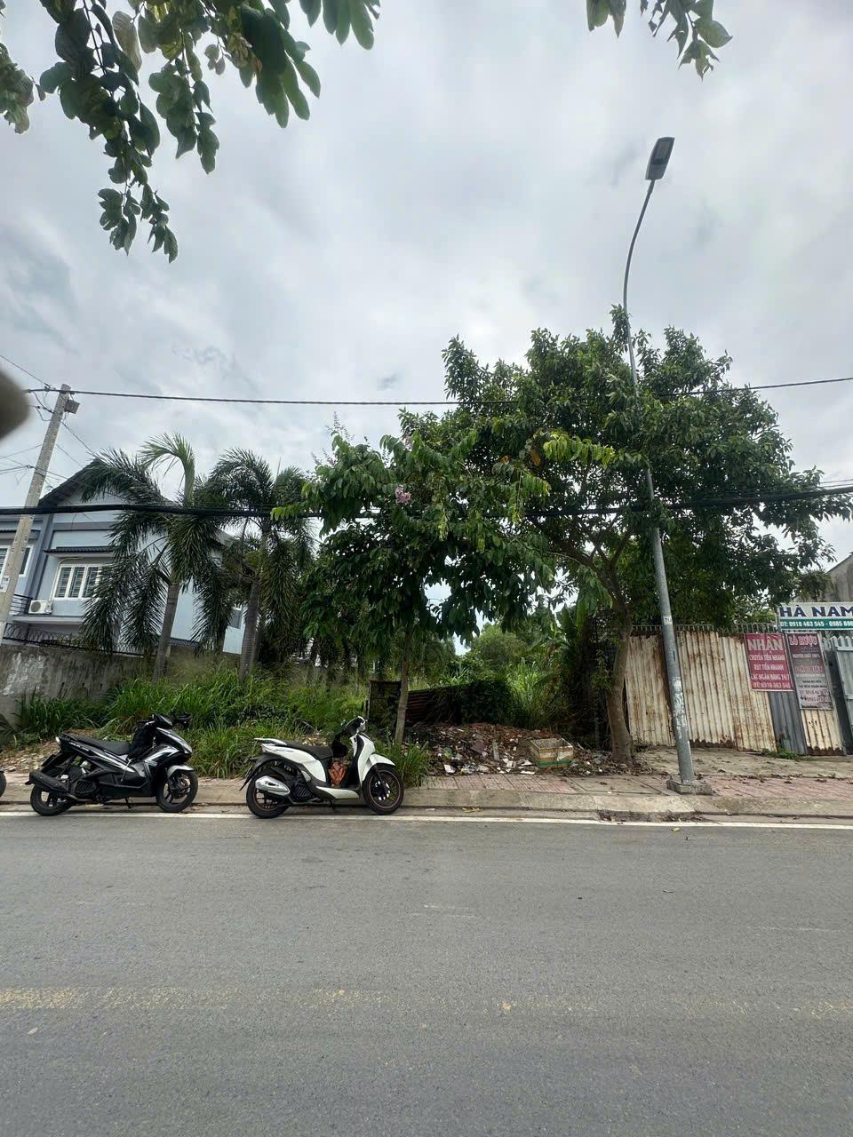 MẶT TIỀN NGUYỄN THỊ SÁU- THỚI TAM THÔN- HÓC MÔN- NỞ HẬU- GẦN TÔ KÝ- ĐƯỜNG CÓ LỀ - 449M2 - TIỆN XÂY - Ảnh 2