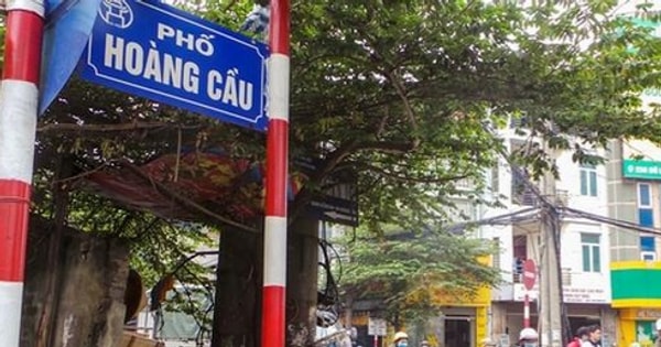 Hoàng Cầu – toà nhà 9 tầng – 338m² – Lô góc – View hồ Hoàng Cầu – 152 tỷ - Ảnh chính