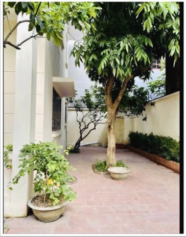 ⭐Việt Kiều cần bán nhanh biệt thự Indochine 200,1m2 tại Sài Sơn, Quốc Oai, 36t/m2, view núi Thầy - Ảnh 1