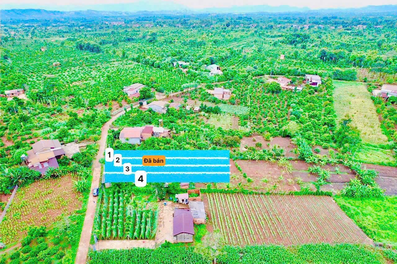 Ea Ning-Cư Kuin-Đắk Lắk đất mặt tiền đường bê tông view hồ 56 mát mẻ kdc đông ssawxn thổ cư chỉ - Ảnh 2