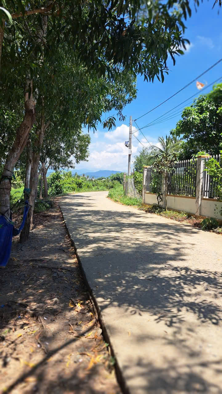 Chính chủ hạ giá cần bán lô đất đẹp ở Thôn Xuân Đông - Diên Xuân cách TL8 chỉ 500m - Ảnh 2