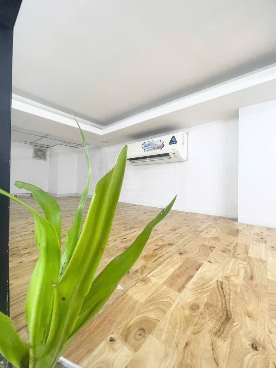 PHÒNG MỚI ngay đường Huỳnh Văn Nghệ, Quận Gò Vấp - Ảnh 2