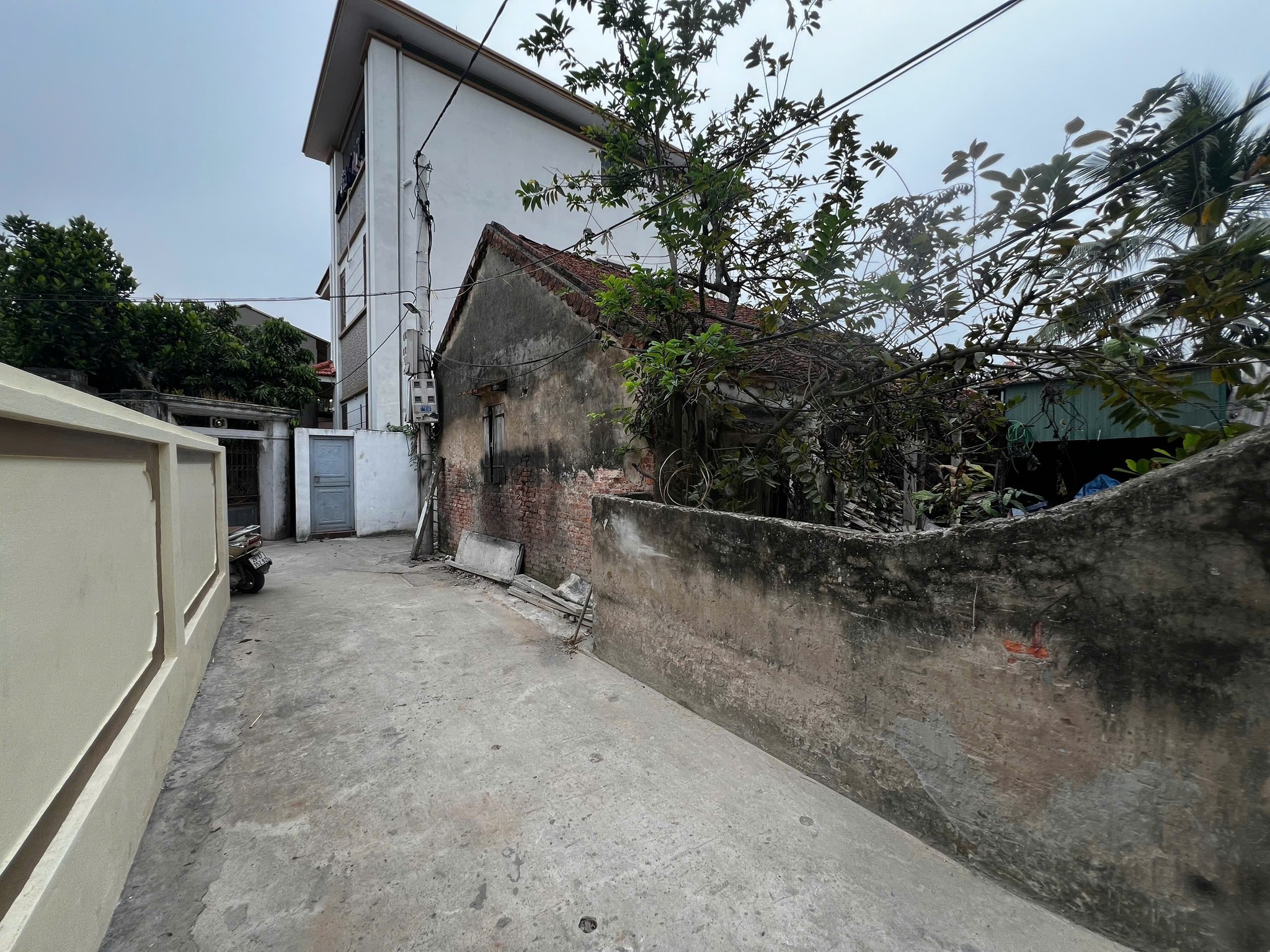 🔥 BÁN LÔ ĐẤT 133M² GIÁ TỐT – TRI LỄ, TÂN ƯỚC, THANH OAI, HÀ NỘI 🔥 - Ảnh 2
