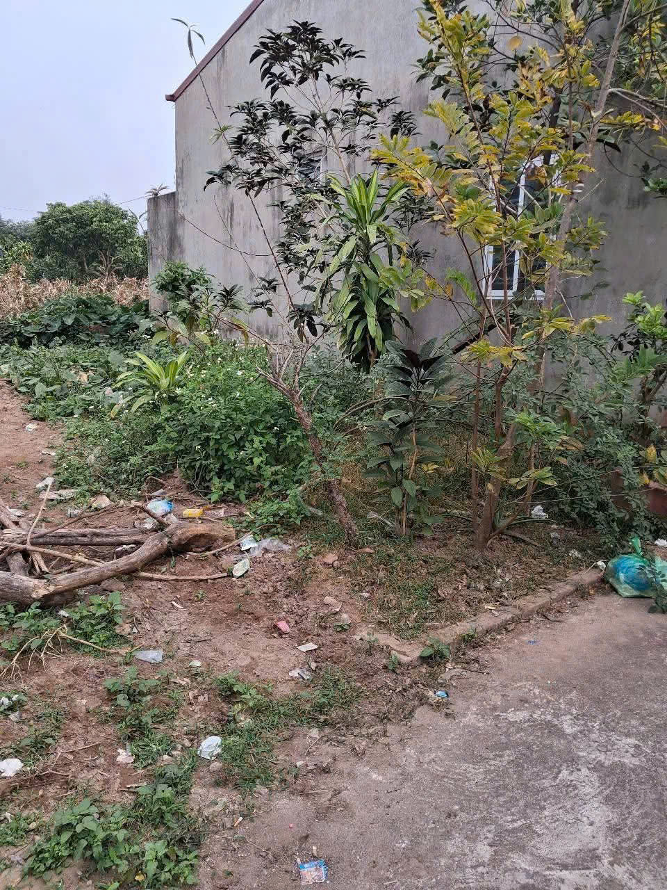 Bán đất Thôn 1, Vạn Phúc, Thanh Trì 70 4 3.8 tỷ - Ảnh chính