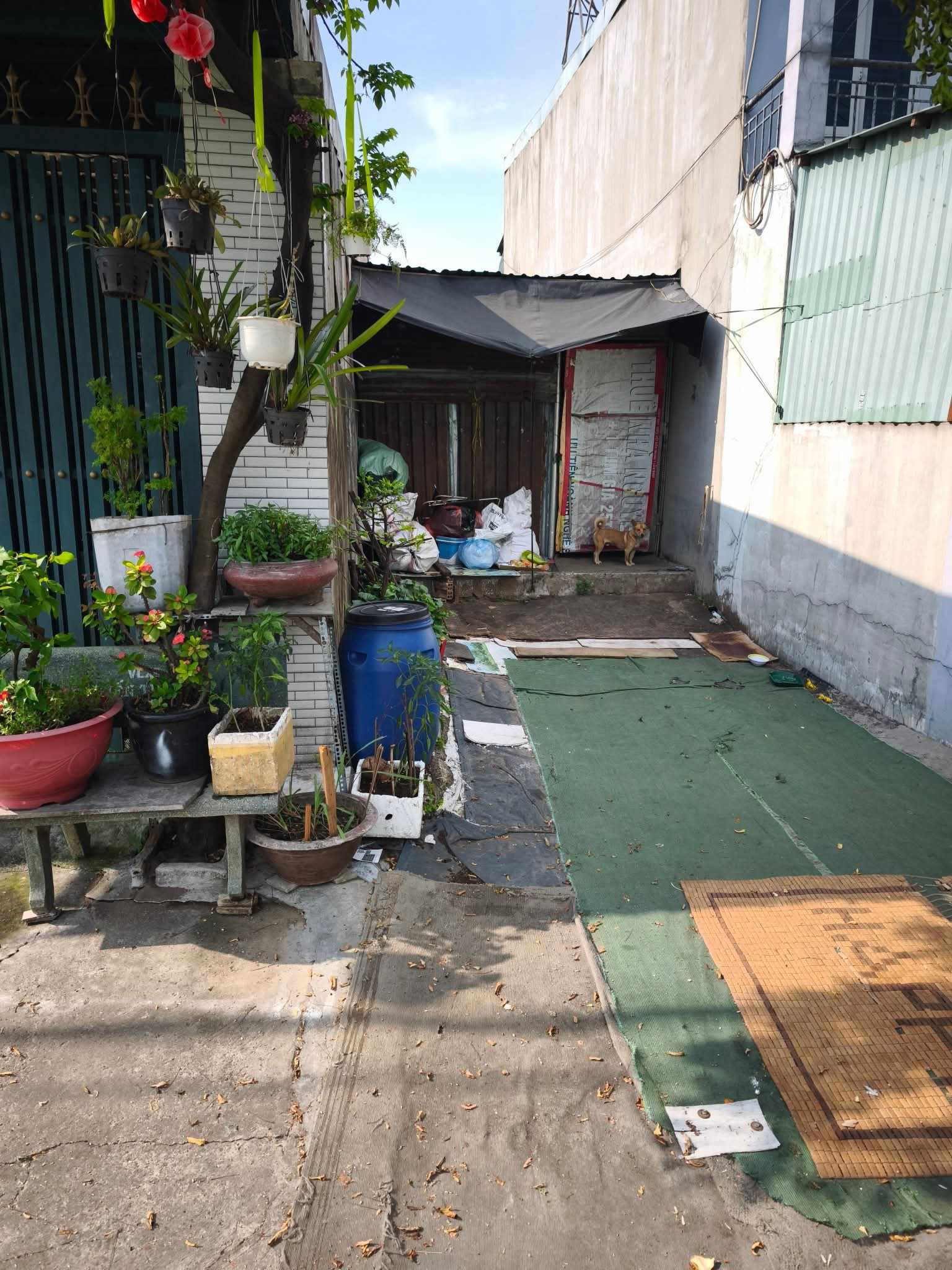 Bán Đất Đông Thạnh Hóc Môn - 75m2 Thổ Cư - Giá Rẻ 2.3 tỷ. - Ảnh 2