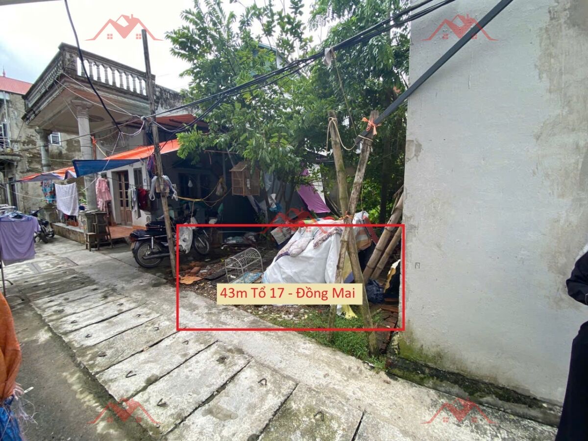CHÍNH CHỦ BÁN LÔ ĐẤT 43M TẠI ĐỒNG MAI-HÀ ĐÔNG-HÀ NỘI - Ảnh 3