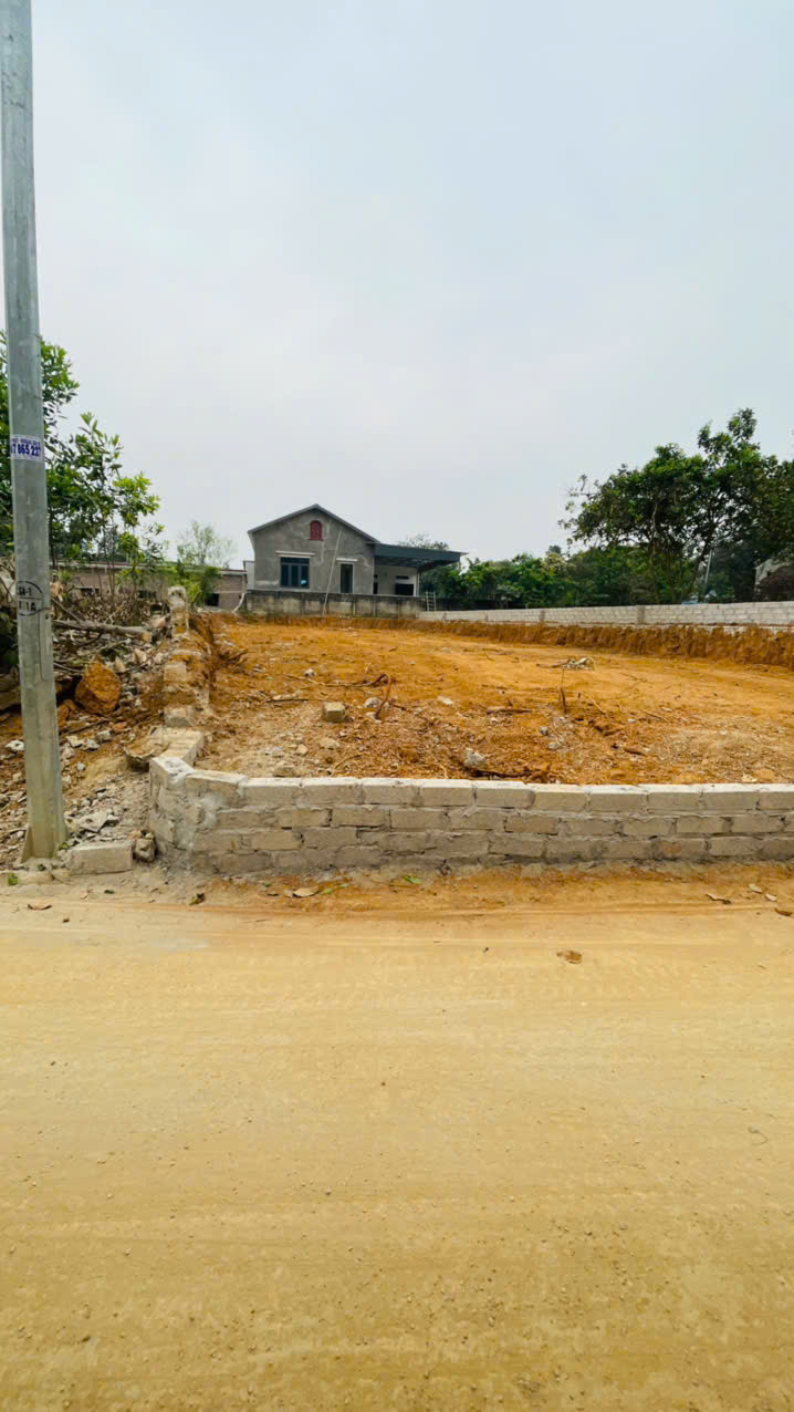355M2 CỔ ĐÔNG; GIÁ CHỈ HƠN 10TR/M2 - Ảnh chính