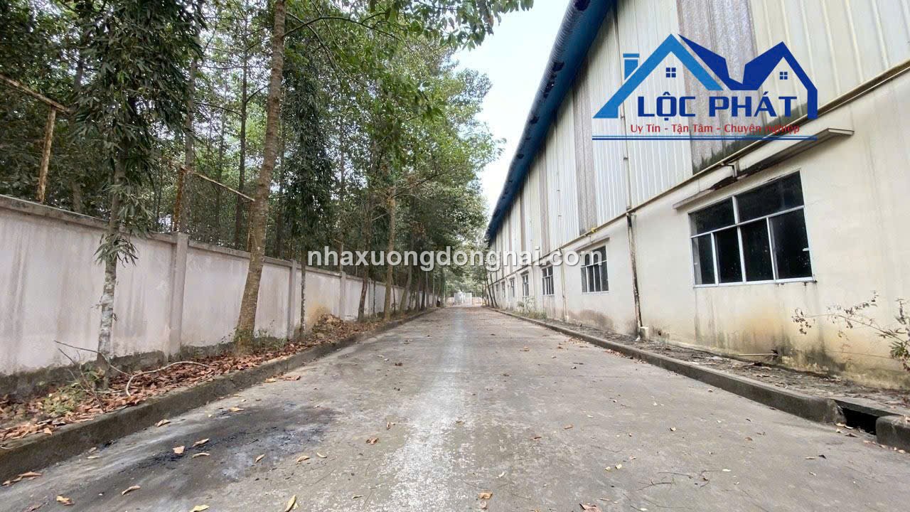 Cho thuê kho xưởng 2800m2 KCN Tam Phước Biên Hòa Đồng Nai - Ảnh 3