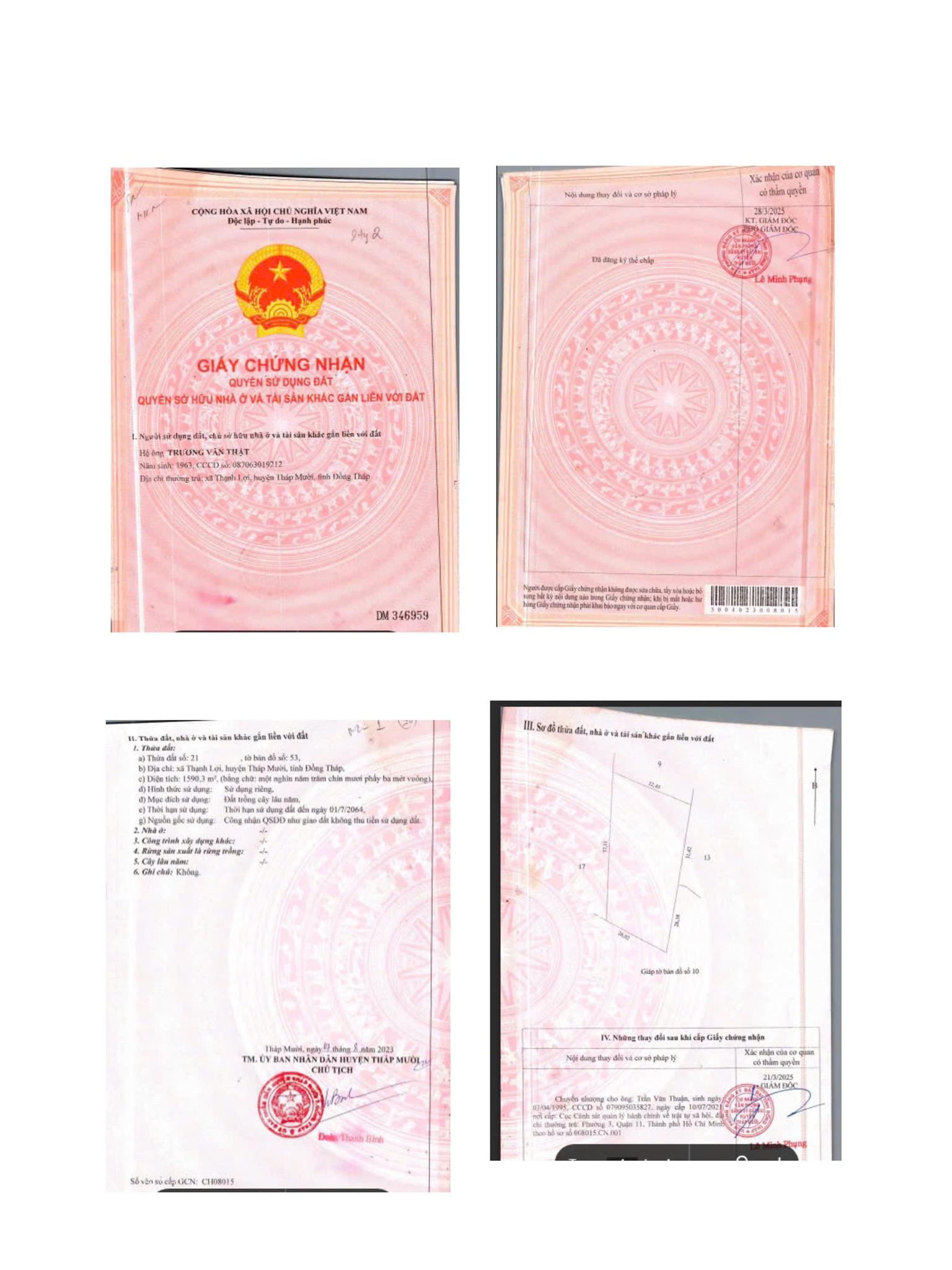 ĐẤT ĐẸP - GIÁ TỐT - Vị Trí Đường DT 845, Thạnh Lợi, Tháp Mười, Đồng Tháp - Ảnh chính