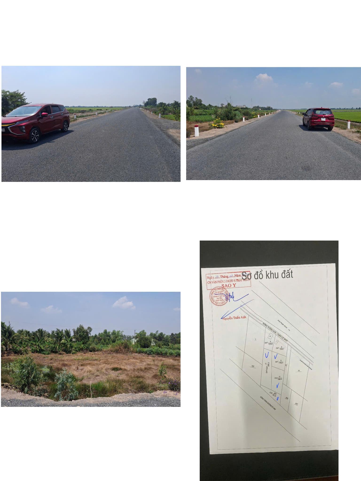 ĐẤT ĐẸP - GIÁ TỐT - Vị Trí Đường DT 845, Thạnh Lợi, Tháp Mười, Đồng Tháp - Ảnh 2