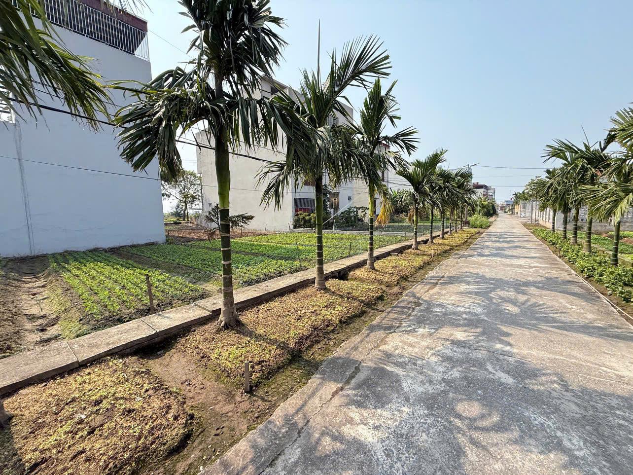 Do cần tiền cho con đi du học nên e bán nhanh lô đất 95m2 tại thị trấn Quất Lâm, vị trí đắc địa, - Ảnh chính