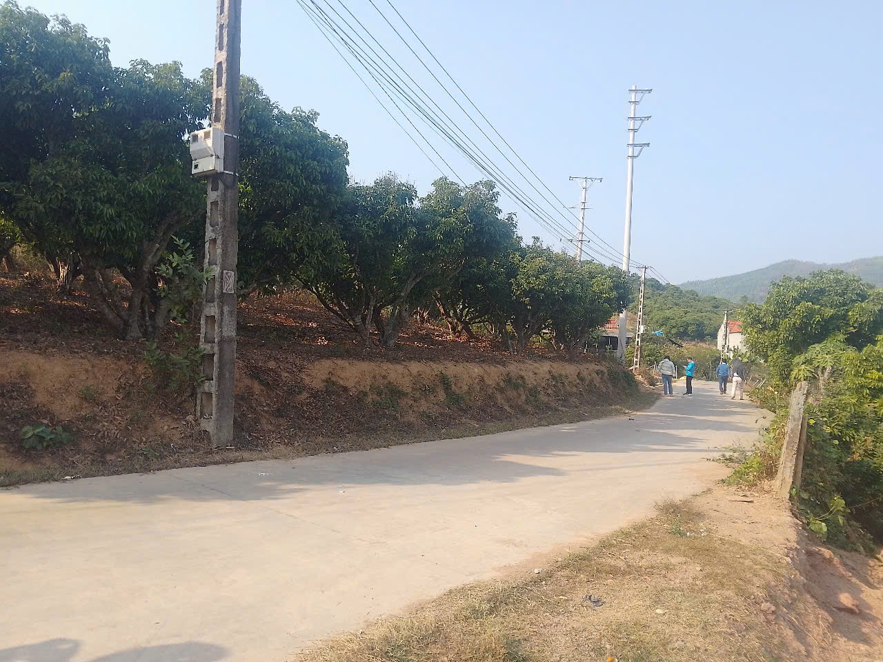 CẦN BÁN 5 LÔ ĐẤT BIỆT THỰ_KIÊN THÀNH THỊ XÃ CHŨ GIÁ RẺ - Ảnh 1