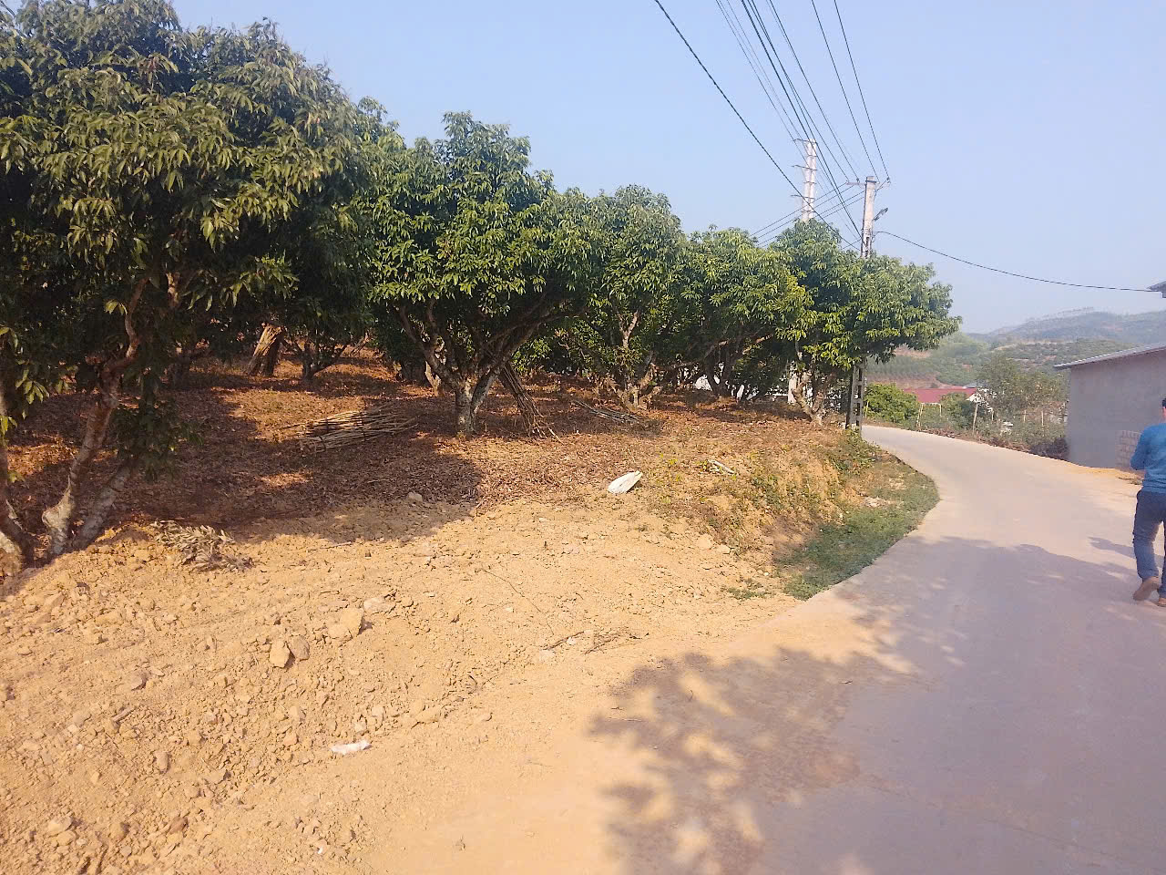 CẦN BÁN 5 LÔ ĐẤT BIỆT THỰ_KIÊN THÀNH THỊ XÃ CHŨ GIÁ RẺ - Ảnh 2