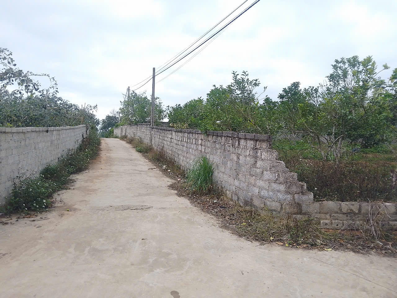 CẦN BÁN GẤP KHU ĐẤT ĐẸP PHƯỜNG THANH HẢI_THỊ XÃ CHŨ_BẮC GIANG - Ảnh 3