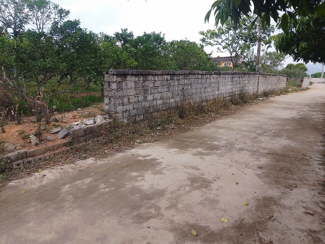 CẦN BÁN GẤP KHU ĐẤT ĐẸP PHƯỜNG THANH HẢI_THỊ XÃ CHŨ_BẮC GIANG - Ảnh 4