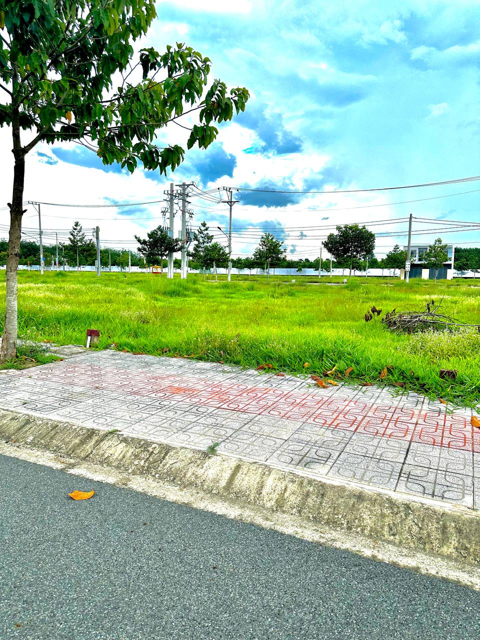 BÁN GẤP LÔ ĐẤT TRUNG TÂM – GIÁ CỰC TỐT, SỔ RIÊNG, CÔNG CHỨNG NGAY! - Ảnh chính