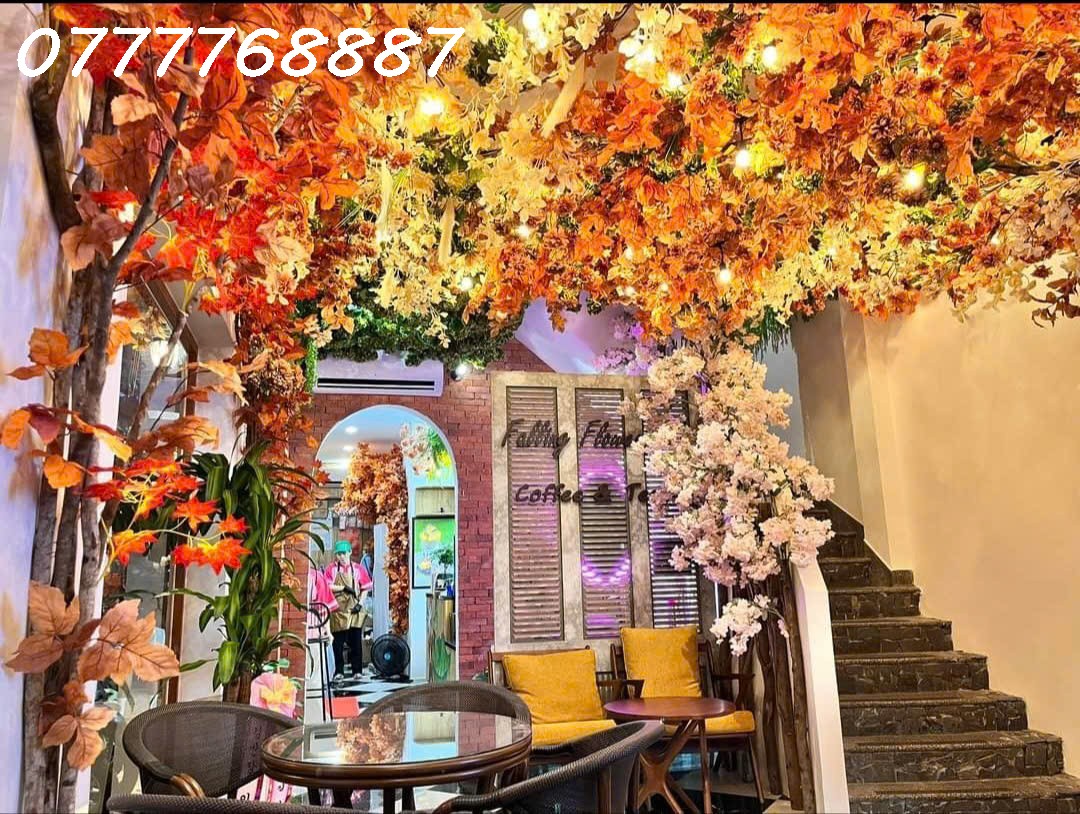Bán nhà cũ đường KD tốt nhất Nguyễn Gia Trí, Bình Thạnh, HĐT trên 200tr - Ảnh 1