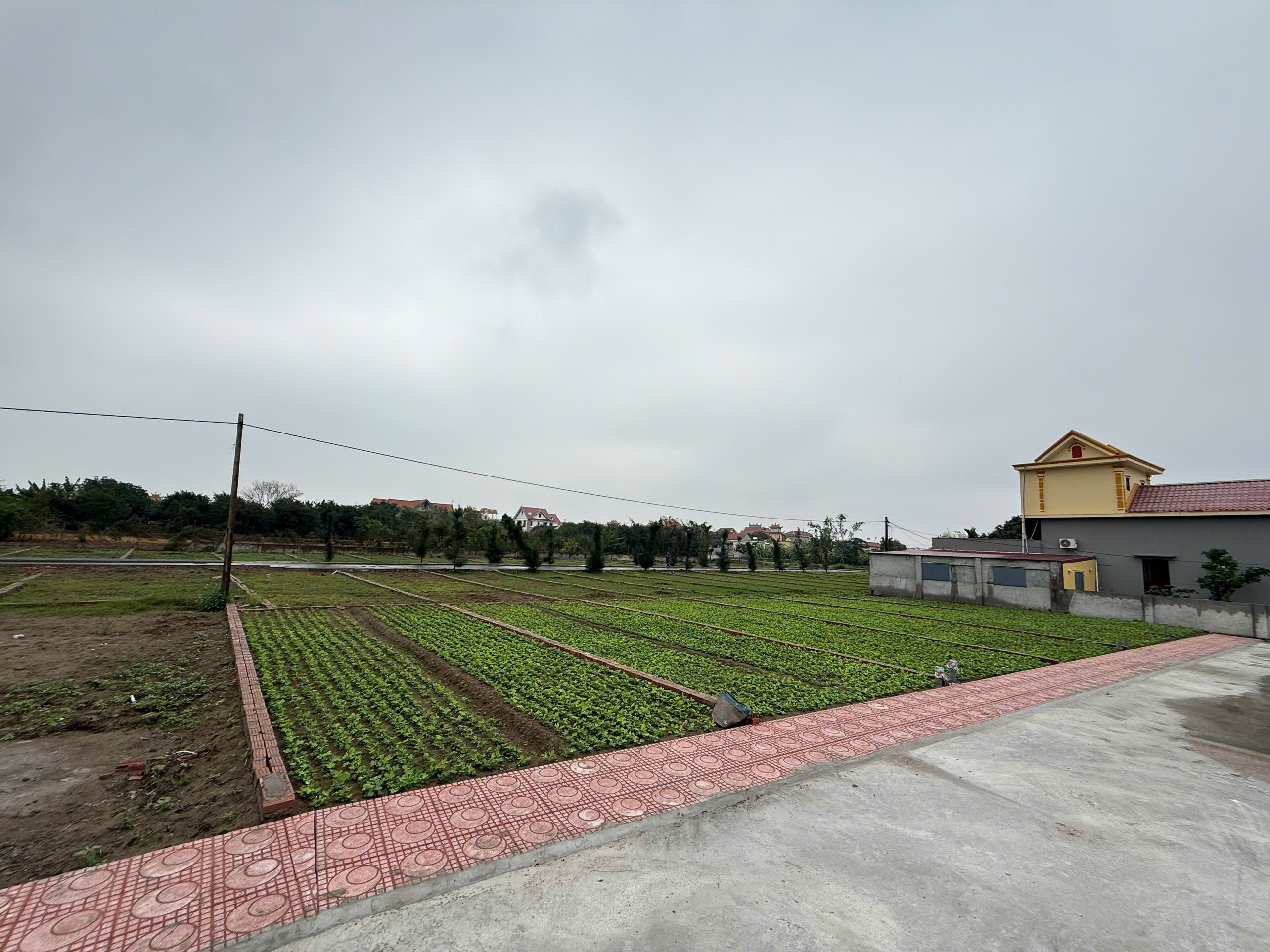 Bán đất trung tâm thị trấn quất lâm gần bãi tắm, quảng trường từ 1 tỷ - Ảnh 1
