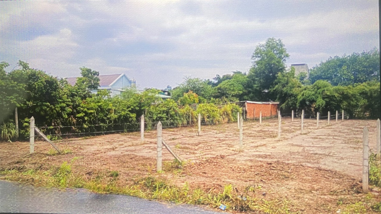 Đất Bình Dương chủ bể thanh lý 225m2( 100tc) giá 590tr - Ảnh chính