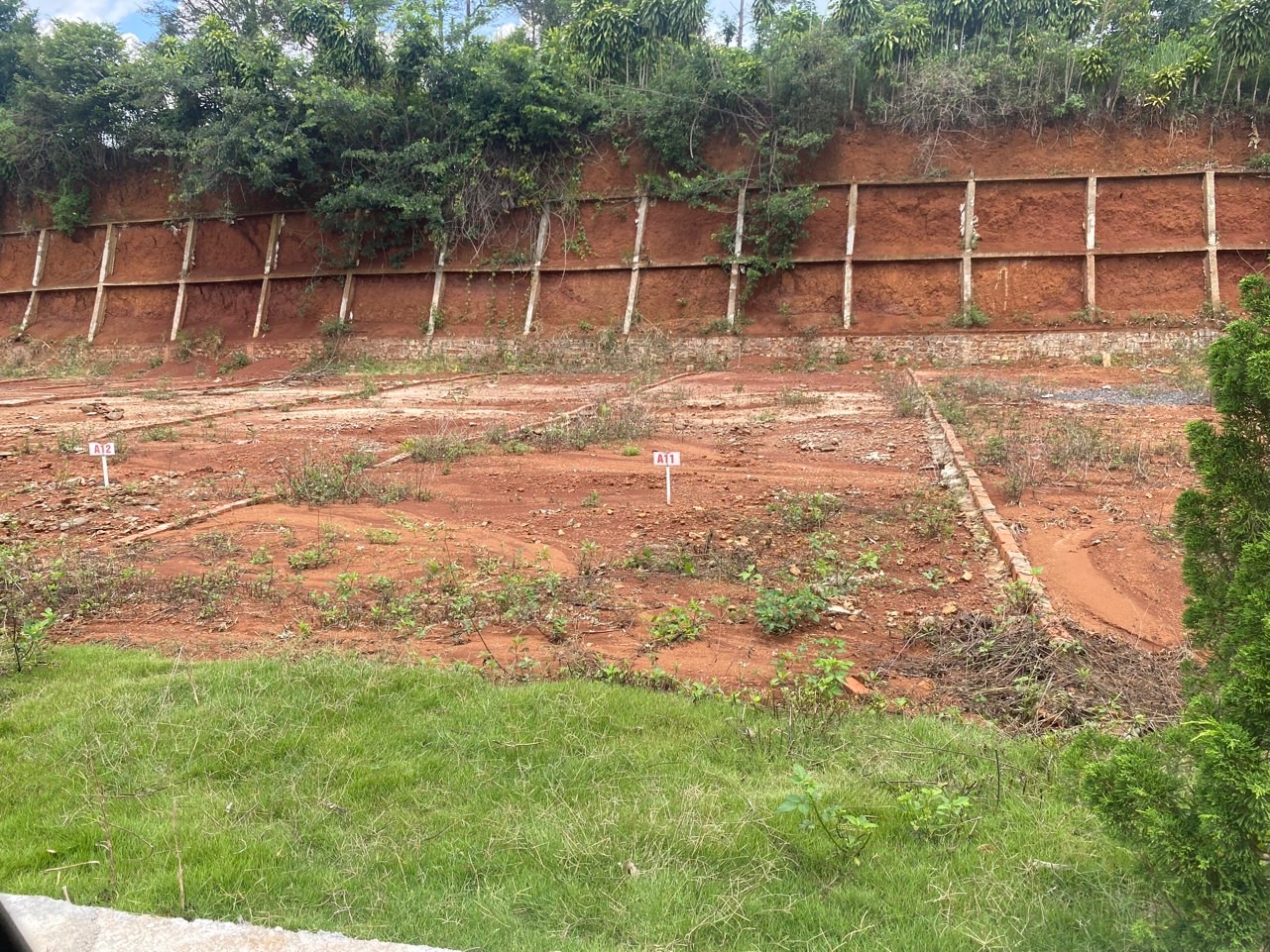 SIÊU RẺ- BÁN NHANH ĐẤT MẶT TIỀN 5M, ĐƯỜNG 8M, TẠI ĐƯỜNG 20, XÃ LỘC AN, BẢO LÂM - Ảnh 2