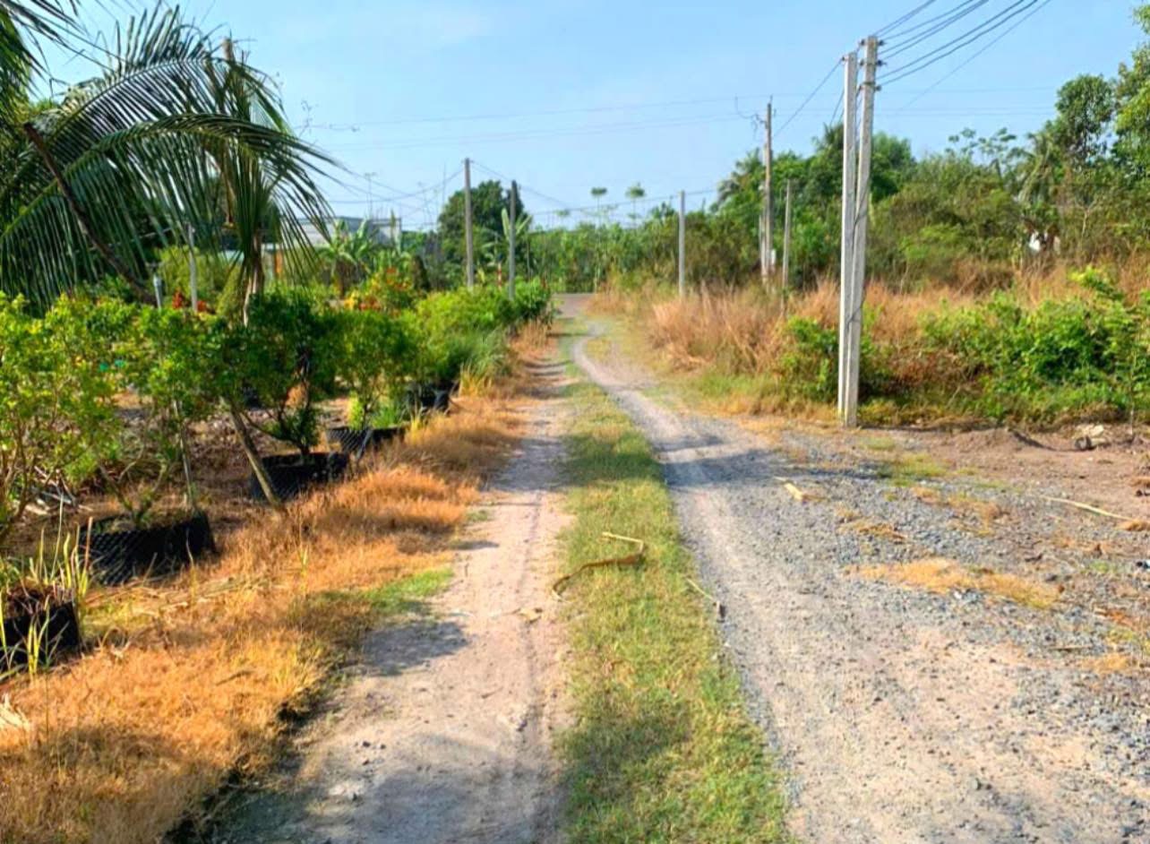 Cần bán 8000m2 đất hẻm 781 Dương Minh Châu, Tây Ninh - Ảnh chính
