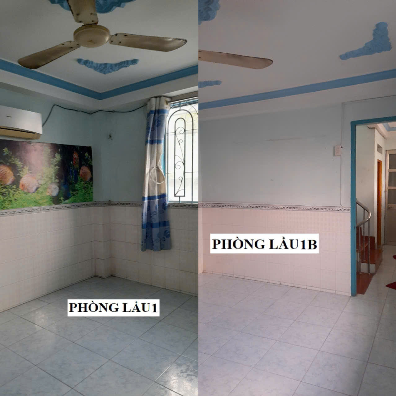 GIÁ TỐT - MÌNH CHÍNH CHỦ CẦN CHO THUÊ NHÀ MẶT TIỀN ĐƯỜNG TRẦN ĐẠI NGHĨA - BÌNH CHÁNH - Ảnh 1