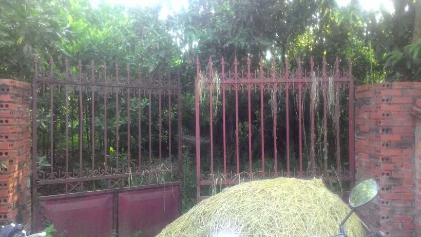 Chính chủ bán đất 1000m2 giá 10,8tr/m2 tại Xóm mới, Lập Thành, Đông Xuân, Quốc Oai, Hà Nội - Ảnh 1