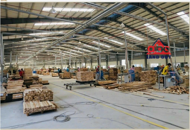 Cho thuê nhà xưởng sản xuất, hạ tầng KCN hiện đại, kết nối giao thông thuận lợi - Ảnh 1
