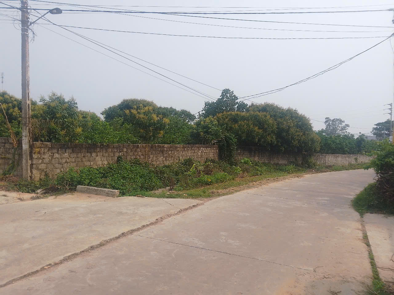 BÁN LÔ ĐẤT 2 MẶT TIỀN ĐẸP NHƯ MƠ – TRUNG TÂM TRÙ HỰU, CÁCH TX. CHŨ 2KM! - Ảnh chính