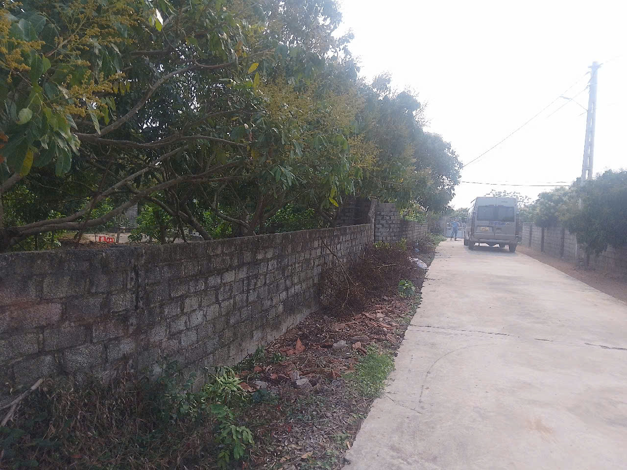 BÁN LÔ ĐẤT 2 MẶT TIỀN ĐẸP NHƯ MƠ – TRUNG TÂM TRÙ HỰU, CÁCH TX. CHŨ 2KM! - Ảnh 3