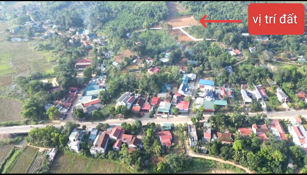 Chưa đến 300 triệu có ngay lôĐất nền Ngọc Lặc giá rẻ bán cắt lỗ. Diện tích rộng cạnh đường Hồ Chí - Ảnh 1
