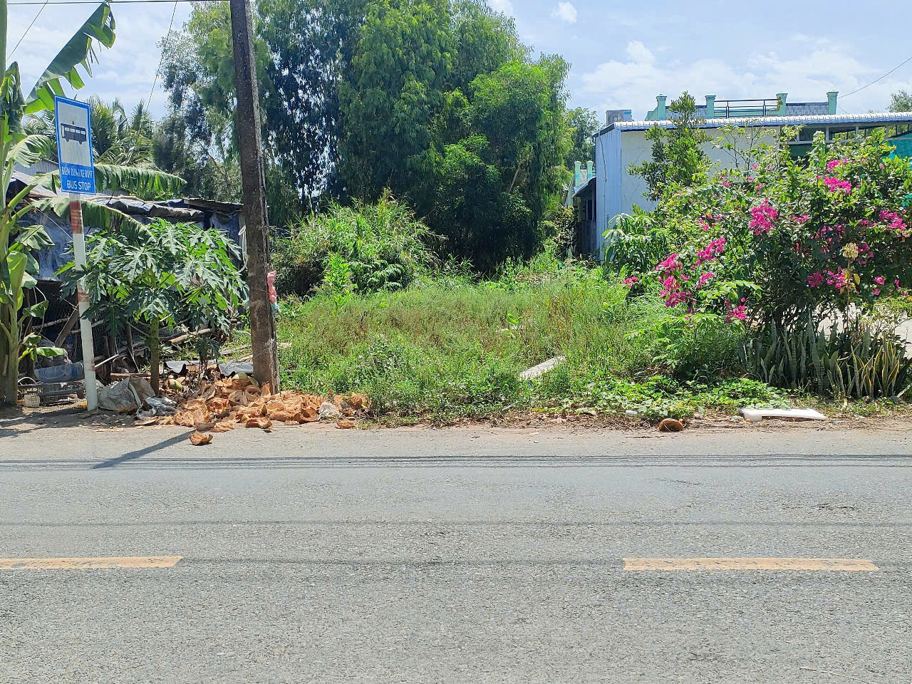 Bán đất mặt tiền Đường 986A, Xã Khánh An, U Minh, Cà Mau, diện tích 300m2 - Ảnh chính