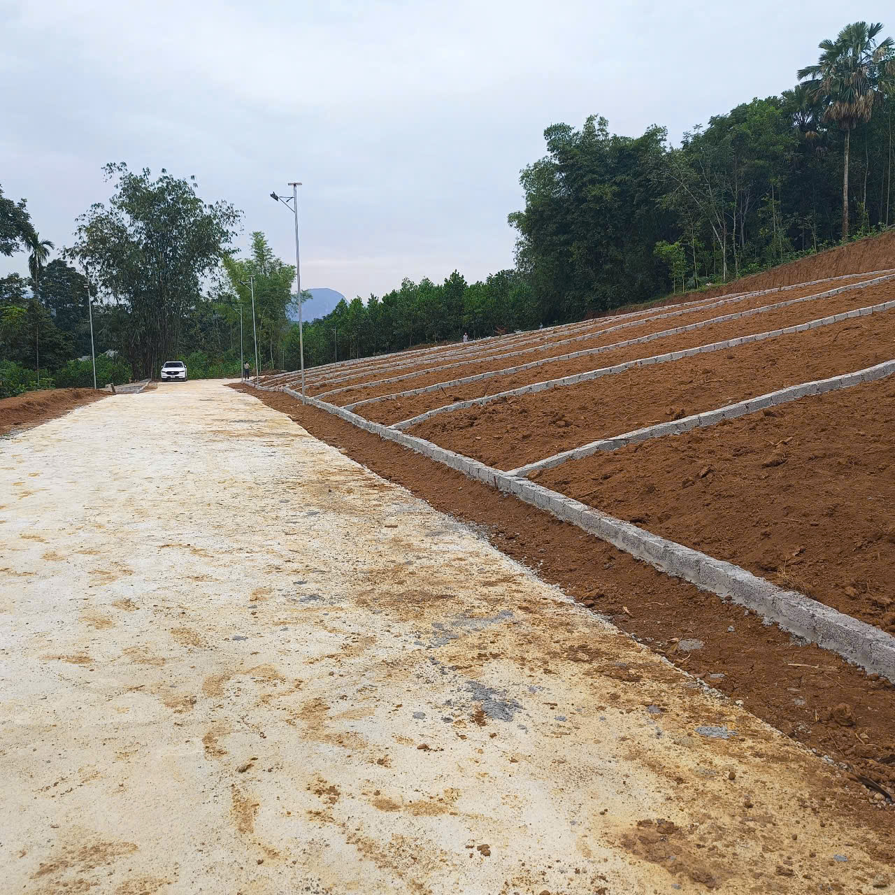 Chưa tới 300 triệu 1 lô đất từ 140m2 -160m2, Cơ hội đầu tư đất nền Ngọc Lặc – Thanh Hóa - Ảnh chính