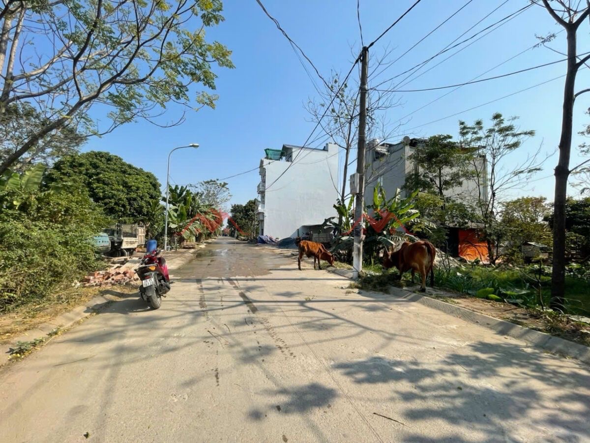 CHÍNH CHỦ BÁN LÔ ĐẤT ĐẤU GIÁ BIÊN GIANG-HÀ ĐÔNG-HÀ NỘI - Ảnh 1