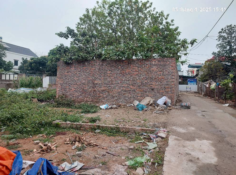 Bán đất Nam Hồng, 64m2, mt5m, 4.2 tỷ, Đông Anh, ô tô. - Ảnh 1