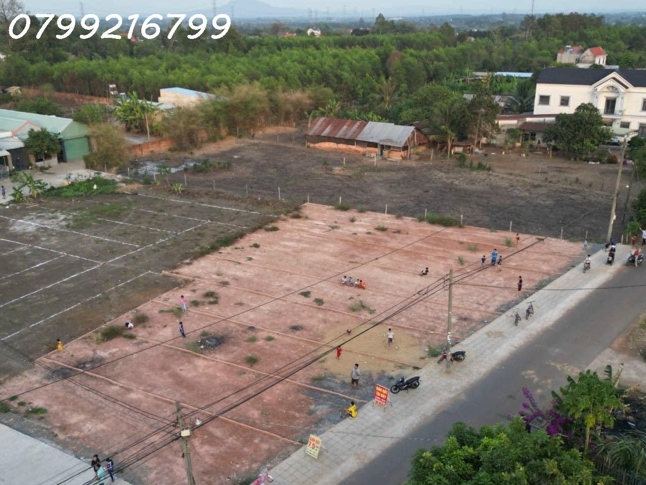 Đất nền giá rẻ sổ riêng thổ cư 1 tỷ 150/nền. Gần chợ Sông Trầu , ủy ban xã , thác đá hàn.LH 0799 - Ảnh 2