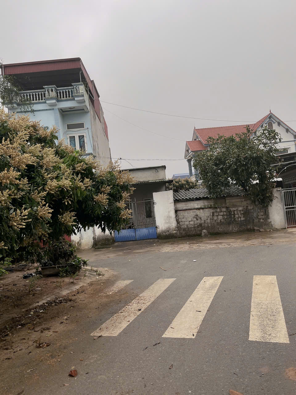 Chính chủ cần bán Đất Tặng Nhà Cấp 4 Tại Đặng Cầu – Trung Nghĩa – Hưng Yên. - Ảnh chính