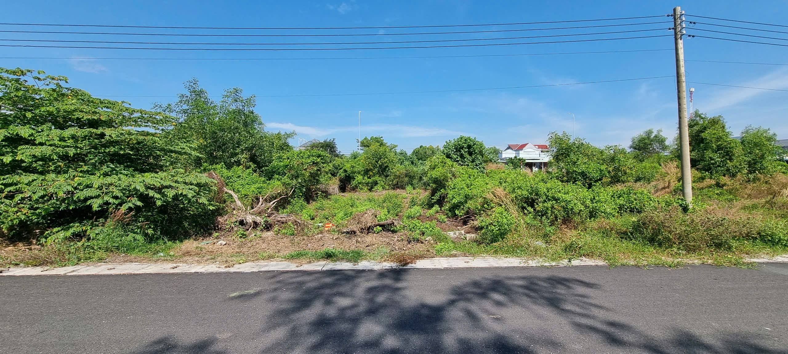 Bán đất mặt tiền đường nhựa ngay gần biển, huyện Long Đất, tỉnh BRVT - Ảnh chính