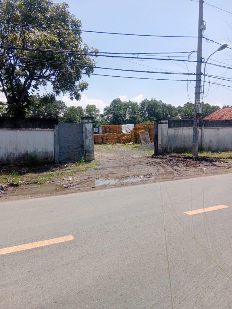 BÁN 2.023M² ĐẤT MT ĐƯỜNG THANH NIÊN, XUÂN THỚI THƯỢNG, HÓC MÔN - Ảnh 2
