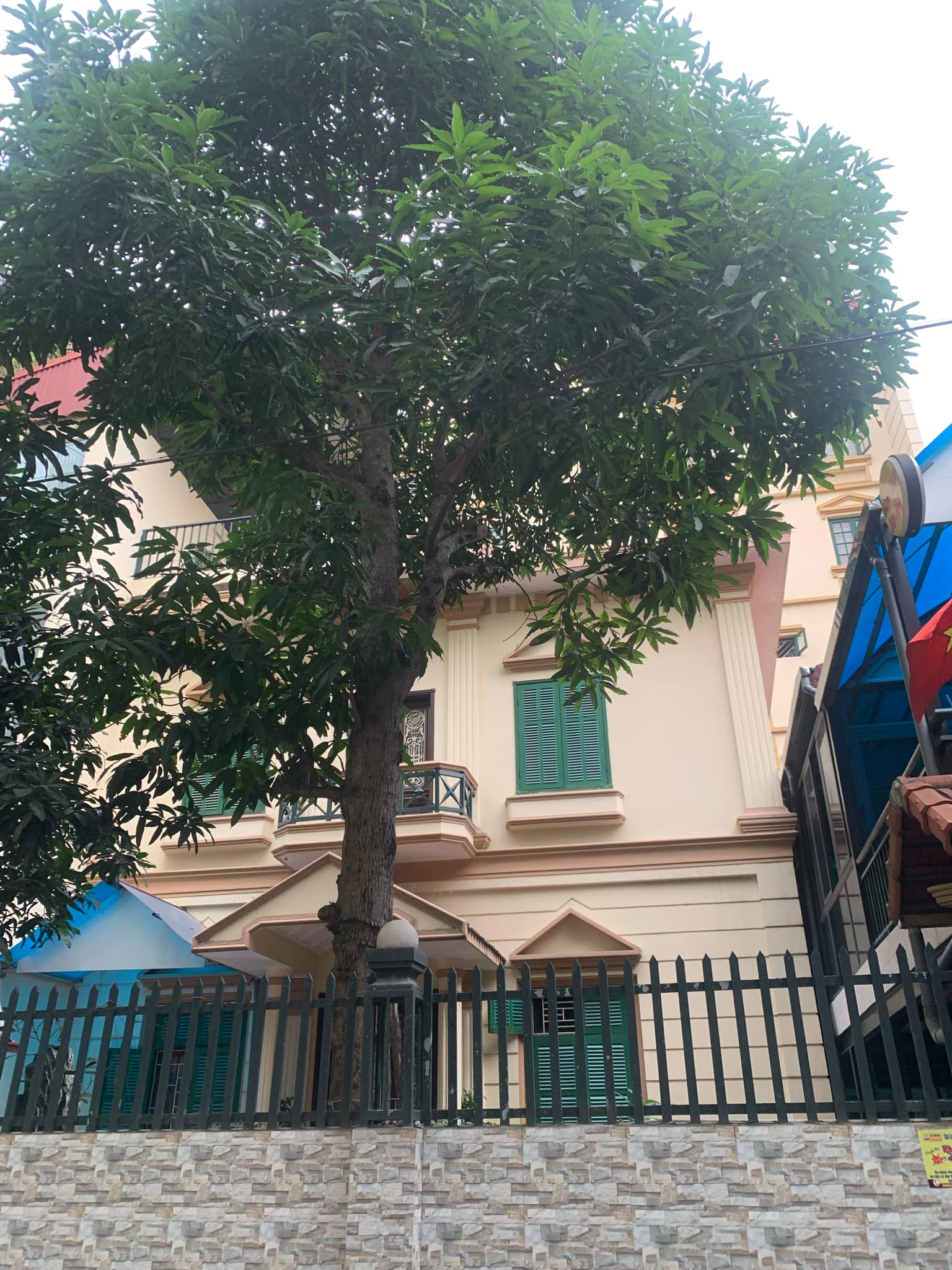 Biệt thự sân vườn Nguyễn Văn Cừ-Ngọc Lâm, 305m x 4 tầng, mặt tiền 12m, ôtô tránh, sân vườn để được - Ảnh chính