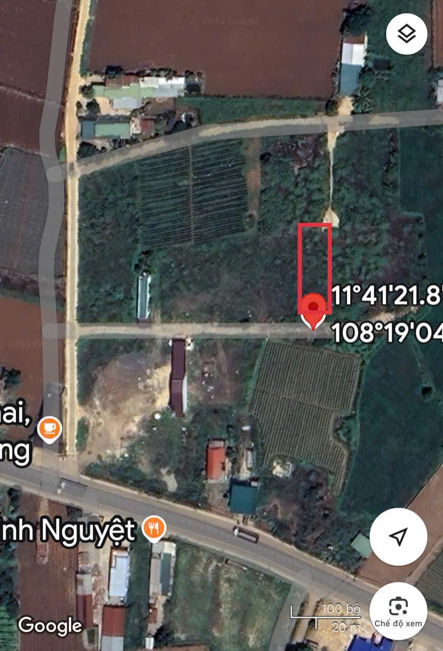 CẦN BÁN NHANH LÔ ĐẤT  MẶT TIỀN TẠI Xã Phú Hội , huyện Ðức Trọng, tỉnh Lâm Đồng - Ảnh 2