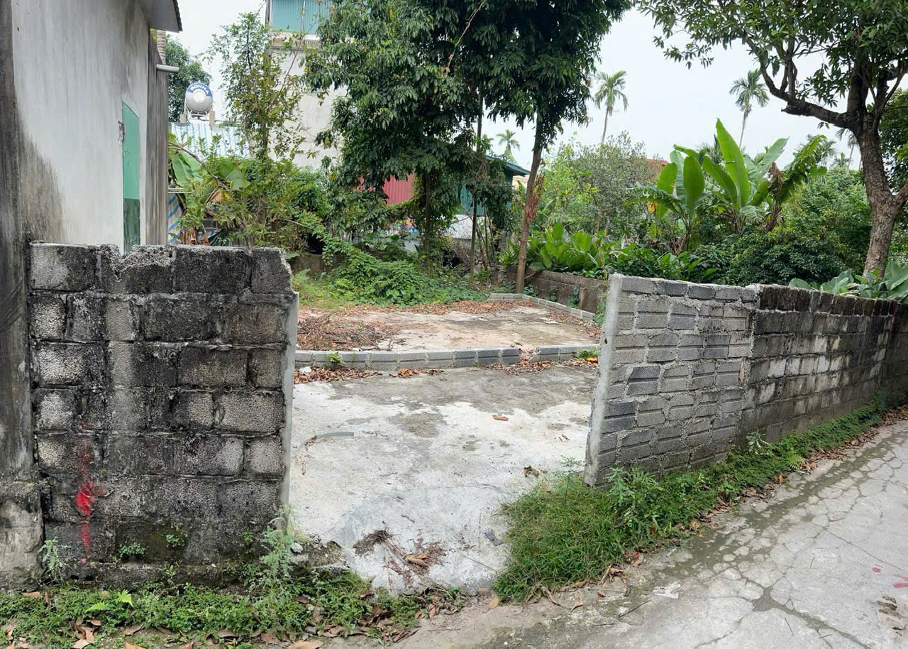 đất vàng 76m² tại tổ 4, Phù Vân, Phủ Lý, Hà Nam - Ảnh chính