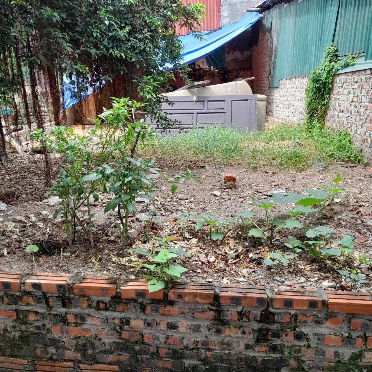 Đất đẹp- giá tốt chính chủ cần bán nhanh 3 lô đất vị trí đắc địa tại huyện Hoài Đức, Tp Hà Nội - Ảnh 4