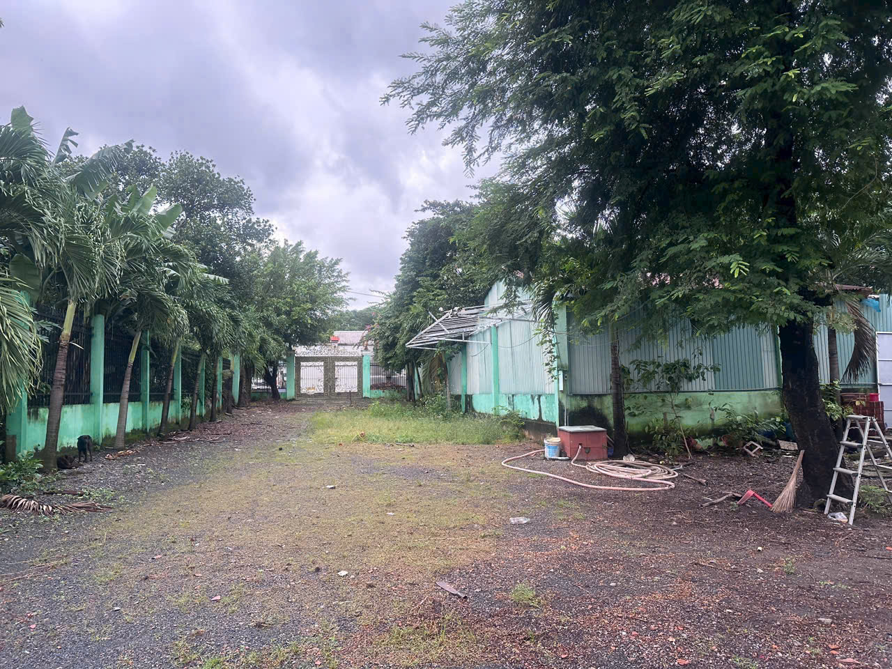 Lô đất vườn 1000m2 Đường 13m nhựa Lê Thị Riêng, P.Thới An, Quận 12 Giá rẻ - Ảnh 3