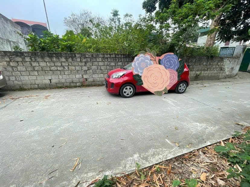 133m2 phường Quang Trung, thành phố Phủ Lý, tỉnh Hà Nam chỉ 1,6 tỷ - Ảnh 3