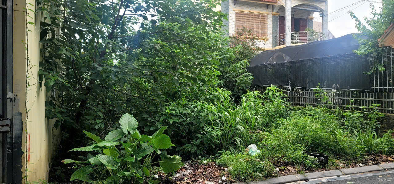Bán 256m ĐẤT MT 9,2m Xuân Khối (Độc Lập cũ)  Cự Khối  LB giá 10,8 ty  oto,KD - Ảnh 2