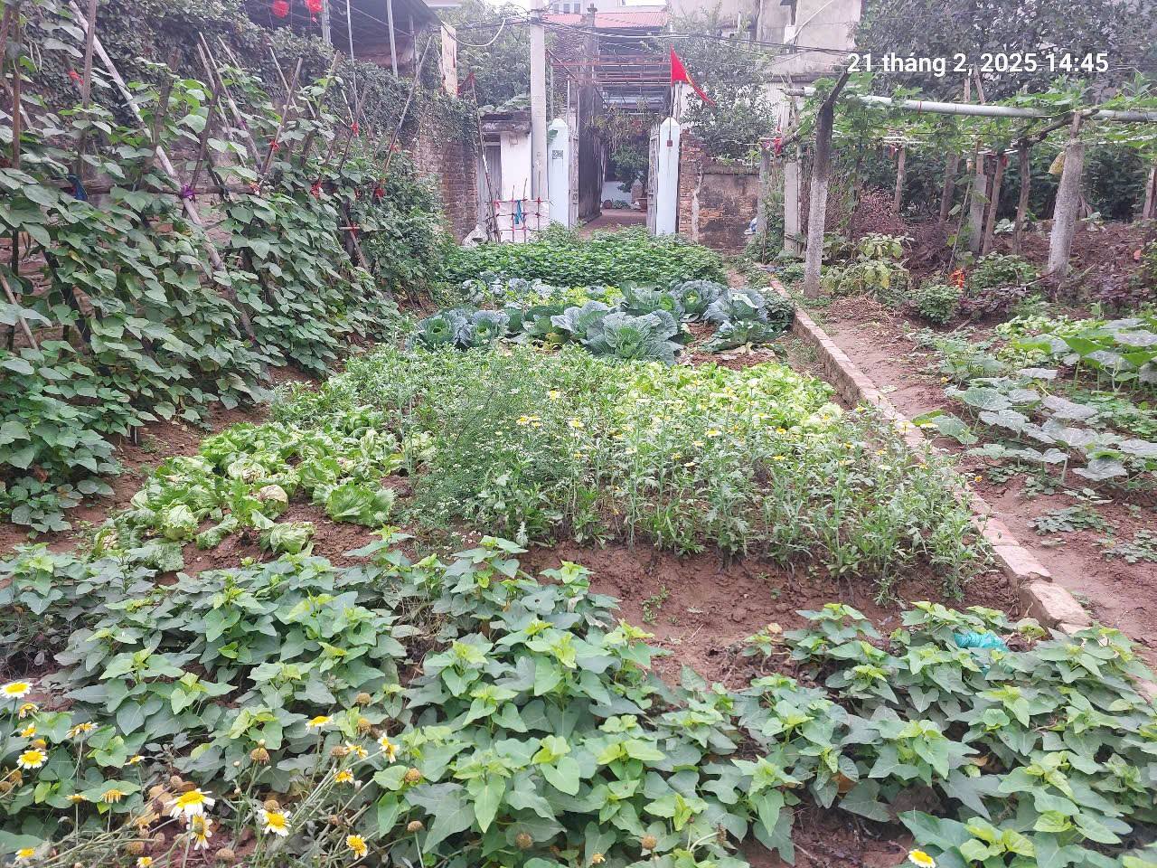 Chủ cũ tìm chủ mới 92m2, 4.6m, 5.83 tỷ, nở hậu, ô tô, thông, Việt Hùng, Đông Anh. - Ảnh 2